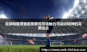 徐尚：与邵佳一的合作非常愉快，中超收官战将由德国助教来带